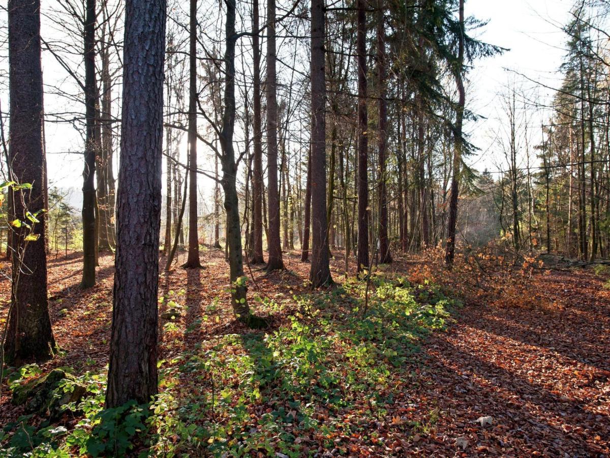 Cozy Apartment In Wichenstein With Large Garden Goessweinstein Zewnętrze zdjęcie